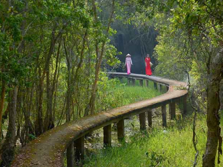 TOP 15+ ĐỊA ĐIỂM PICNIC GẦN TPHCM CÓ THỂ BẠN CHƯA BIẾT