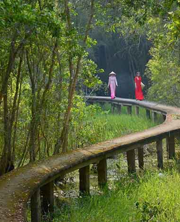 TOP 15+ ĐỊA ĐIỂM PICNIC GẦN TPHCM CÓ THỂ BẠN CHƯA BIẾT
